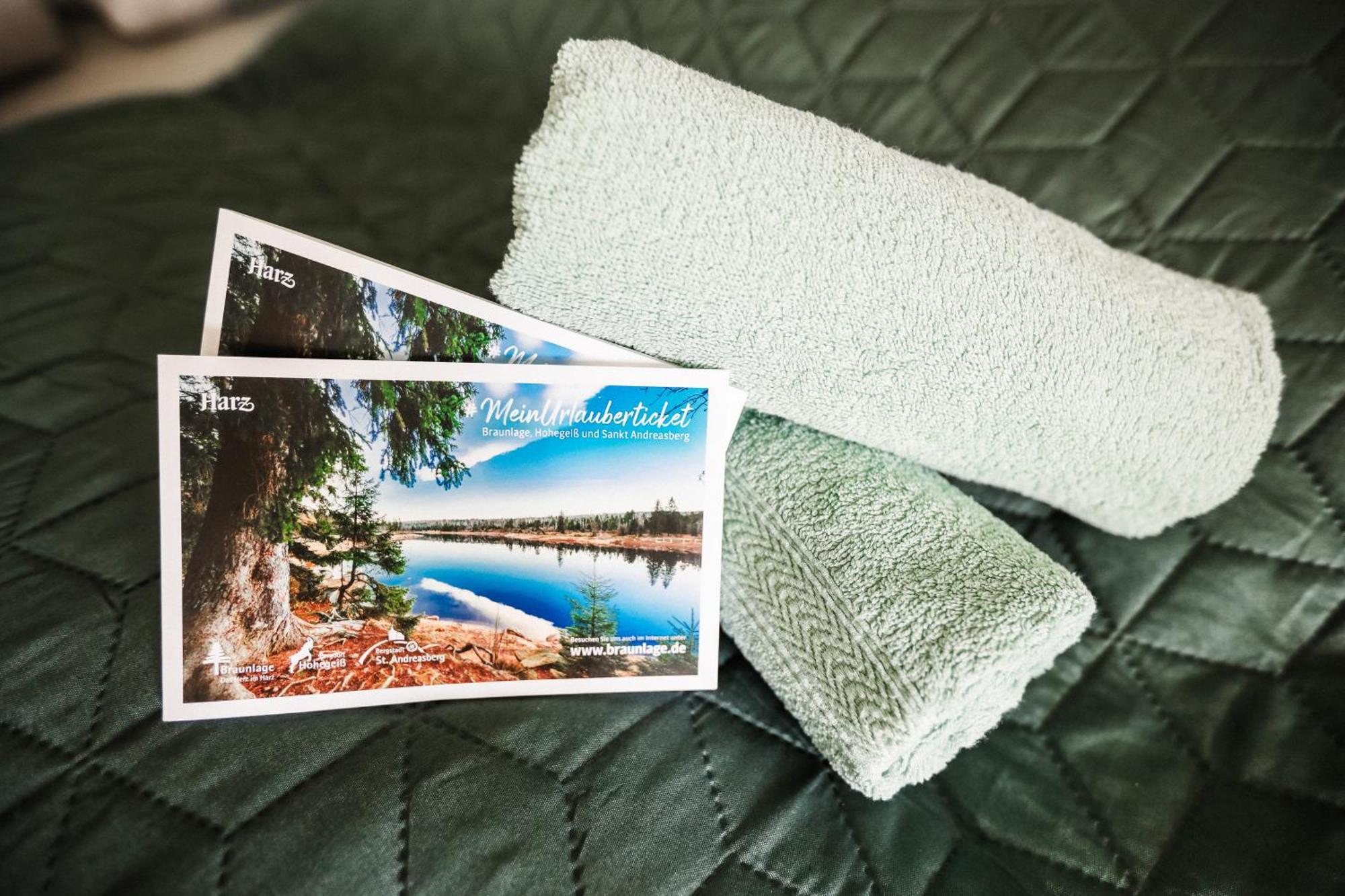 Terrassenhaus Im Harz, Pool, Sauna, Wlan Braunlage Ngoại thất bức ảnh