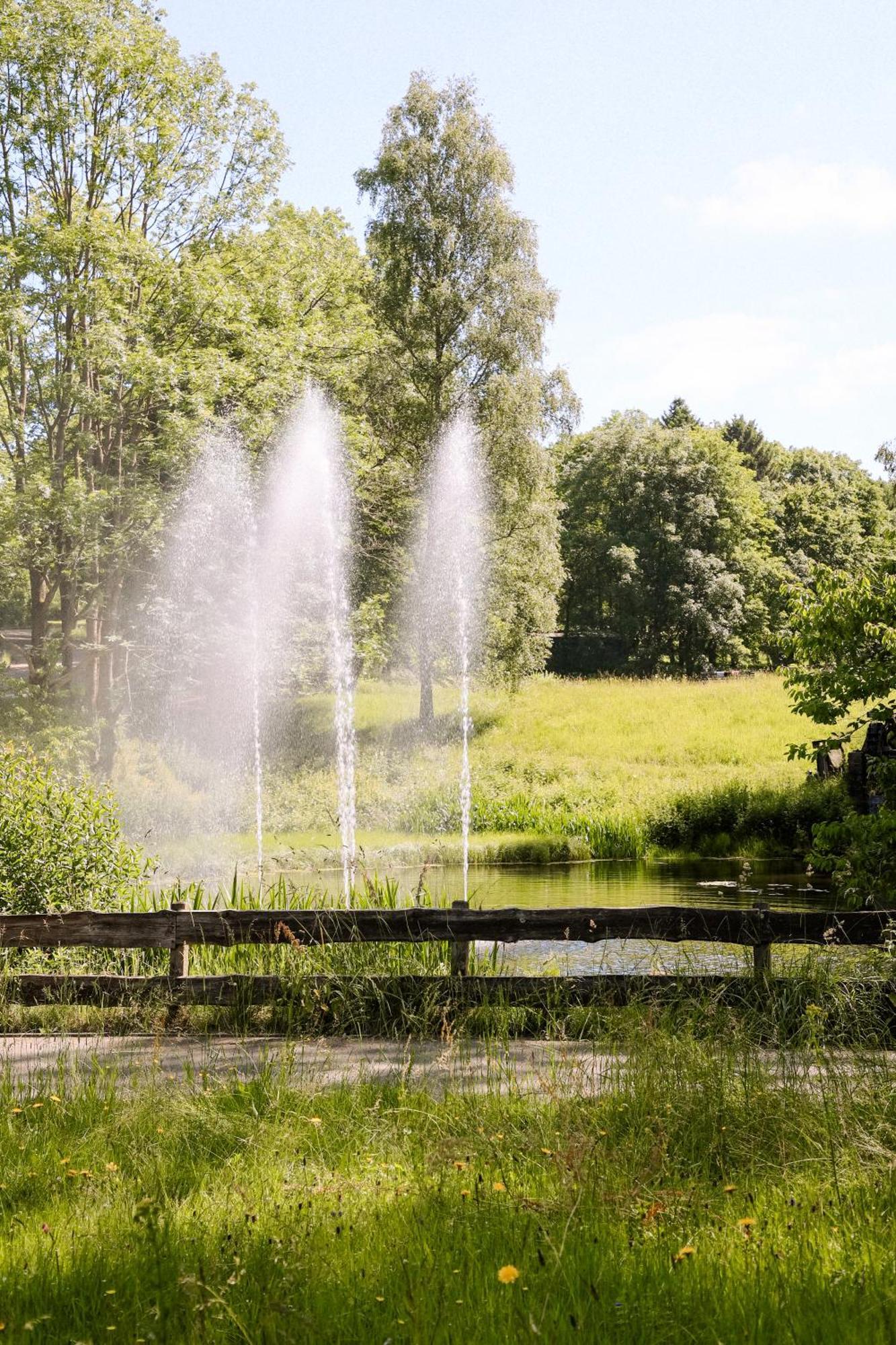 Terrassenhaus Im Harz, Pool, Sauna, Wlan Braunlage Ngoại thất bức ảnh
