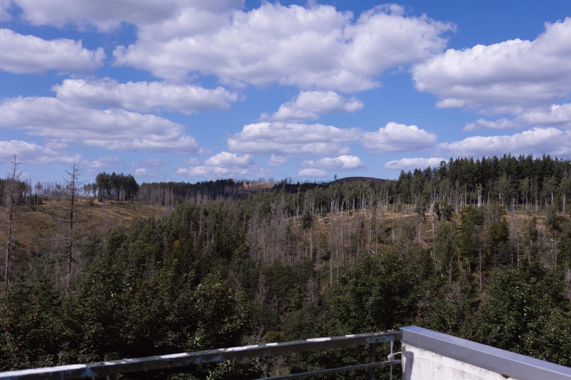 Terrassenhaus Im Harz, Pool, Sauna, Wlan Braunlage Ngoại thất bức ảnh